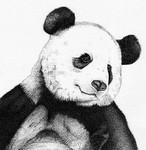 Gillians Panda R